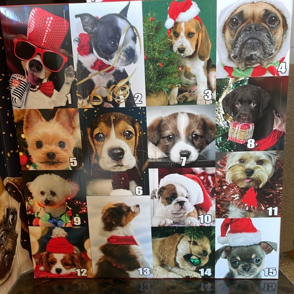 NIB! Women’s 15 Pairs Dog Sock Advent Calendar Sock Set - Picture 4 of 9
